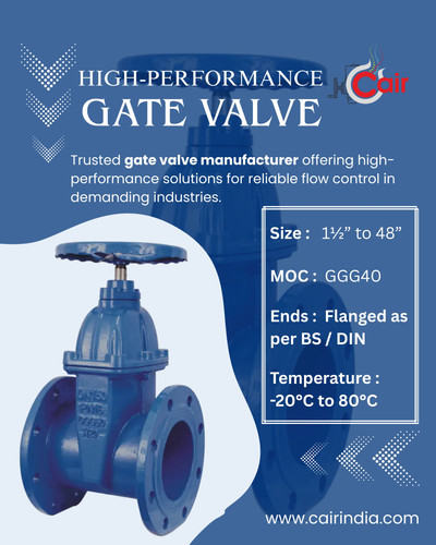 High Performance Gate Valve.jpg