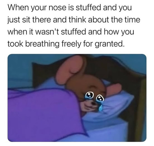 516802012 10231602649710181 1725951998353260921 n