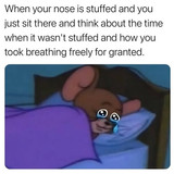 516802012 10231602649710181 1725951998353260921 n