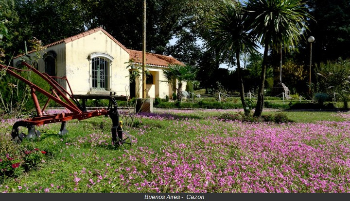 Buenos Aires -  Cazon flores.jpg