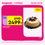 Magnum 1620x1620 1 tov 2025 09 24T094109.982