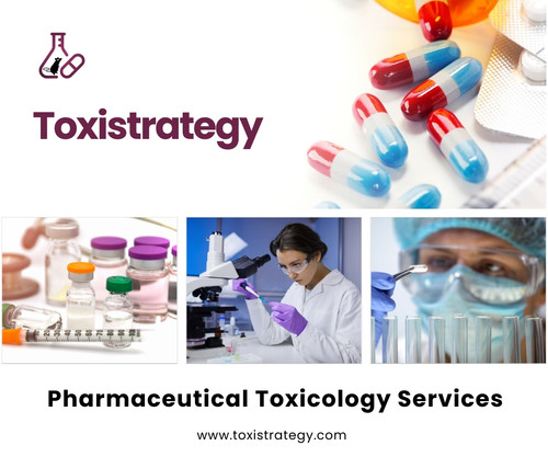 Toxistrategy – Pharmaceutical Toxicology Services.jpg