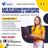 SAP BTP CAP Course Online  Visualpath Training