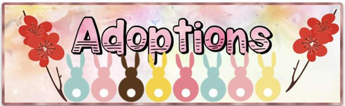 8502d71c 3773 42ec 96f0 aa37dfcd2f96.jpg