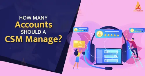 how many accounts should a csm manage.webp