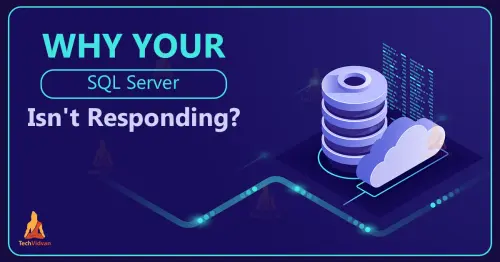 why your sql server is not responding.webp
