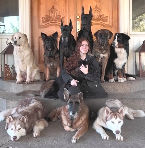 Airbrush OBJECT REMOVER 1756207664488.png