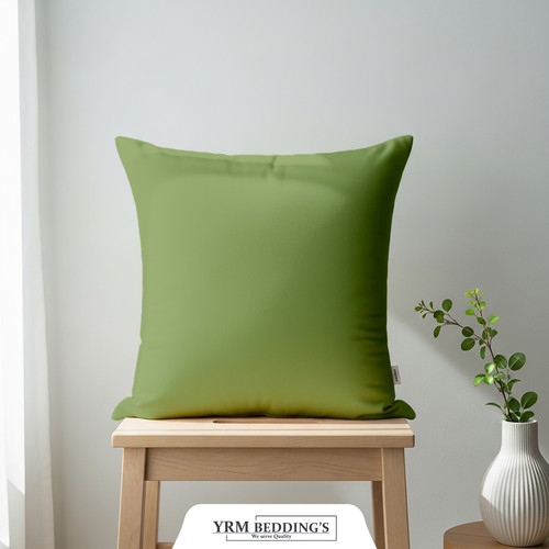 Olive (2).jpg