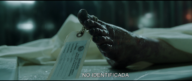 Vlcsnap-2025-08-26-02h09m27s730