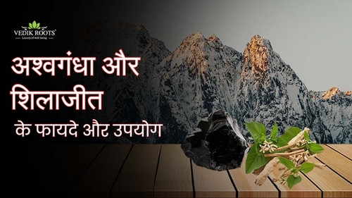 अश्वगंधा और शिलाजीत के फायदे और उपयोग.jpg