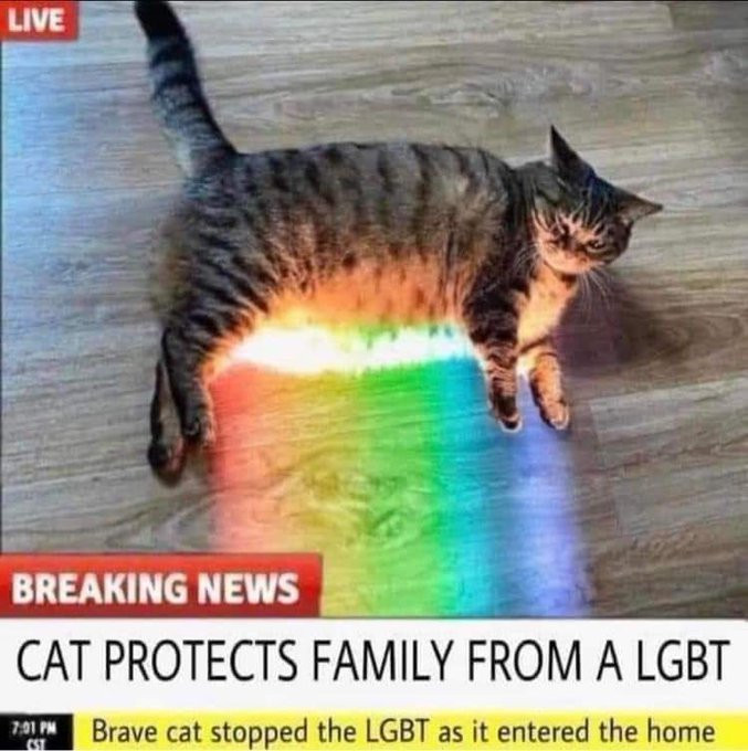 KdIDLvf.jpg