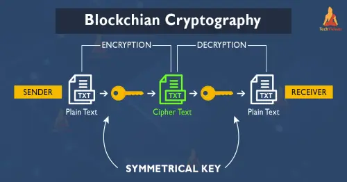 blockchain cryptography.webp