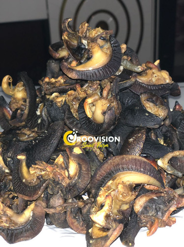Roovision Snails