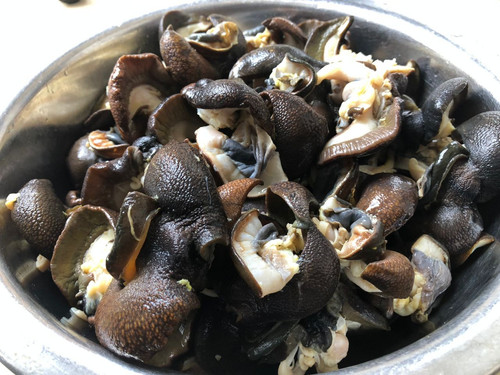 Snails 3