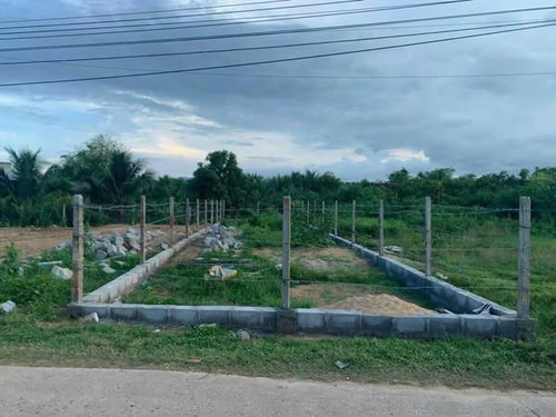 538273086 790221183769349 7378809411267370696 n.jpg