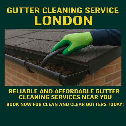 Gutter cleaning service in London.png