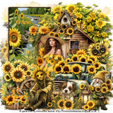 SUNFLOWERWELNESST MM25 G Arie