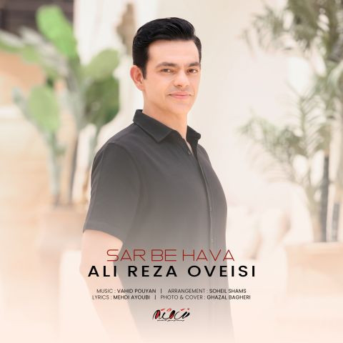 دانلود آهنگ علیرضا اویسی به نام سر به هوا