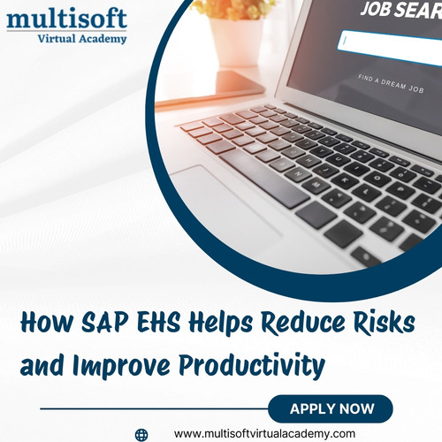 How SAP EHS Helps Reduce Risks and Improve Productivity.jpg