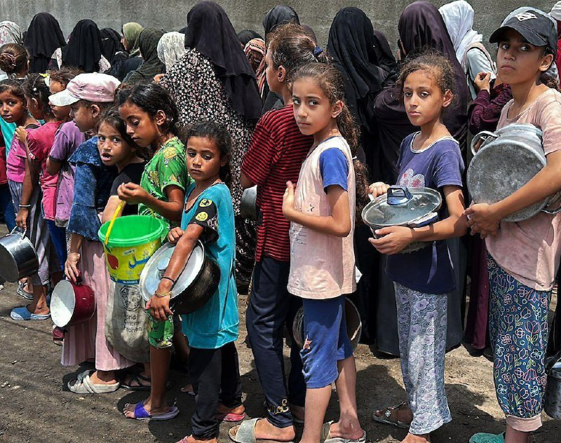 التجويع مستمر..

الأهالي يتجمعون للحصول على وجبة طعام شحيحة من تكية خيرية، في مخيم النصيرات وسط قطاع غزة....