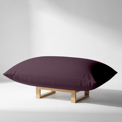 Plum (4).jpg