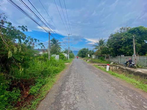 538545921 1330370232033118 6208218376826181453 n.jpg