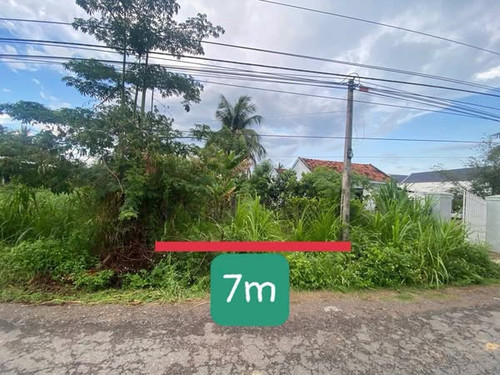 538792153 1330370242033117 7066941490090501237 n.jpg