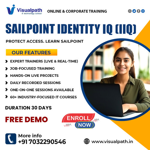 Professional SailPoint Training in Chennai 2025 Visualpath.jpg