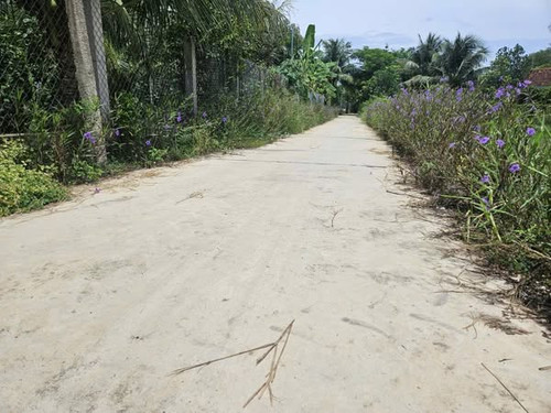 539355483 1832024424334180 8904569630803983257 n.jpg