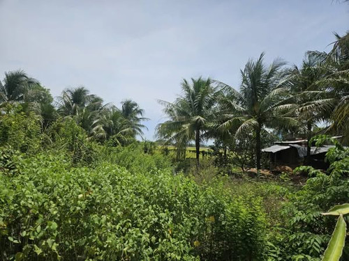 538785419 1832024501000839 7245298842802920166 n.jpg