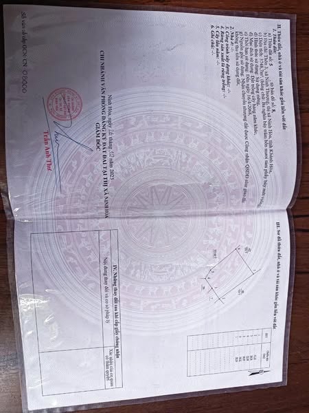 535947099 768093732254422 1263915578453798386 n.jpg