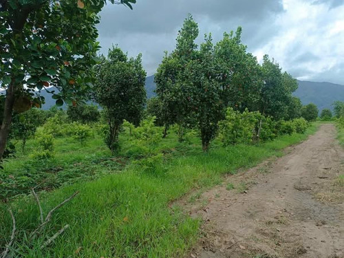 538534587 768093698921092 6190773523373108231 n.jpg