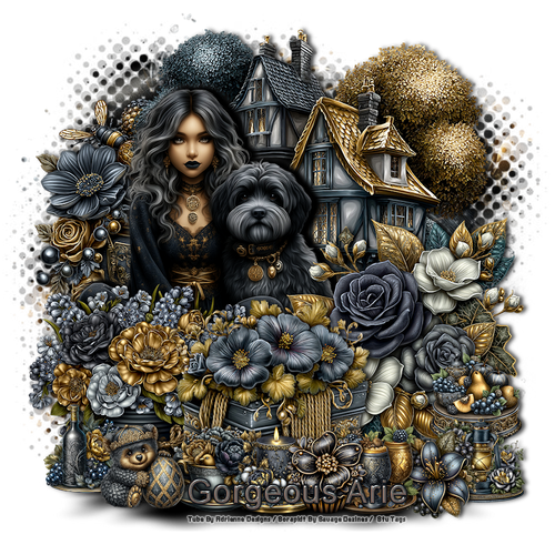 GorgeousArie EllegantGothSKSD vi.png