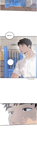 8.png
