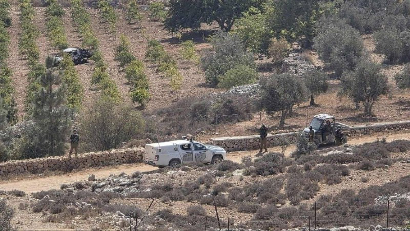 عصابات المستوطنين تتواجد بحماية جيش الاحتلال في منطقة واد سيف شرقي بلدة بيت فجار في بيت لحم...