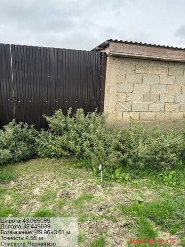 photo 10 2025 10 13 23 42 22.jpg