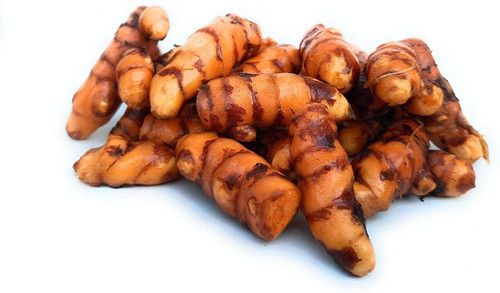 1 fresh raw turmeric seed kachi.jpg