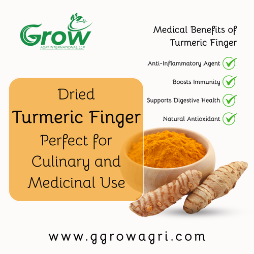Dried Turmeric Finger Perfect for Culinary and Medicinal Use.png