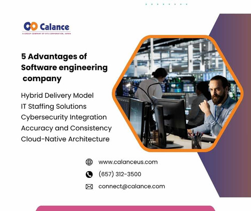 5 Advantages of Software engineering company.jpg
