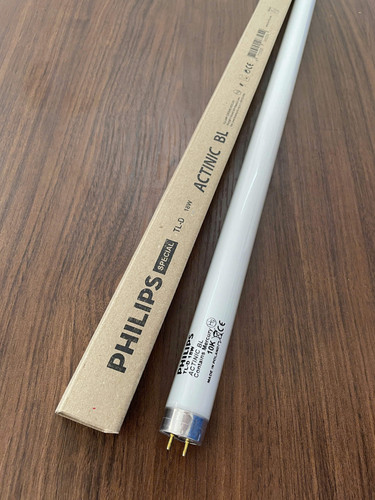 bong den huynh quang con trung philips tl d 18w actinic bl 220v 50hz 600mm t8 02.jpg