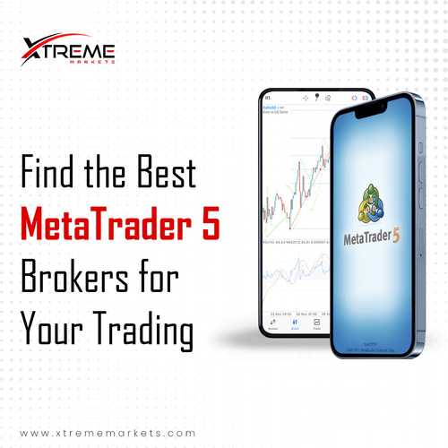 Find the Best MetaTrader 5 Brokers for Your Trading.png