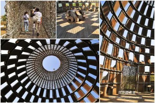 00003 森林之歌.webp