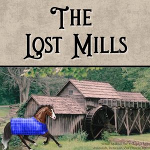 Lost Mills Avi.jpg