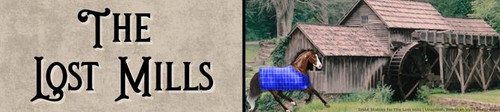 Lost Mills Banner.jpg