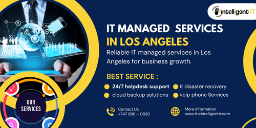 IT Managed Services In Los Angeles.2