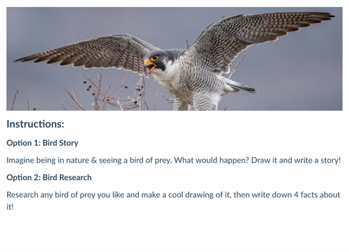 Screenshot 2025 10 14 at 6.02.37 AM.png