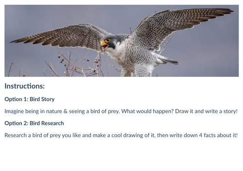 Screenshot 2025 10 14 at 6.03.31 AM.png