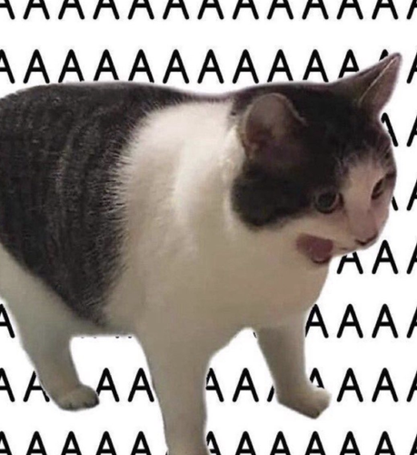 cat screaming.png