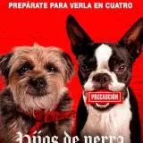 hijosdeperra