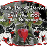 ghost pepper berries